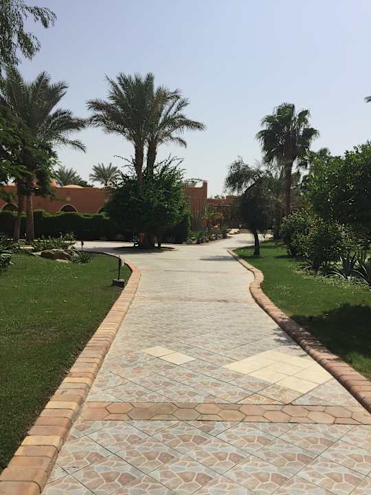 Gartenanlage Jaz Makadi Oasis Resort