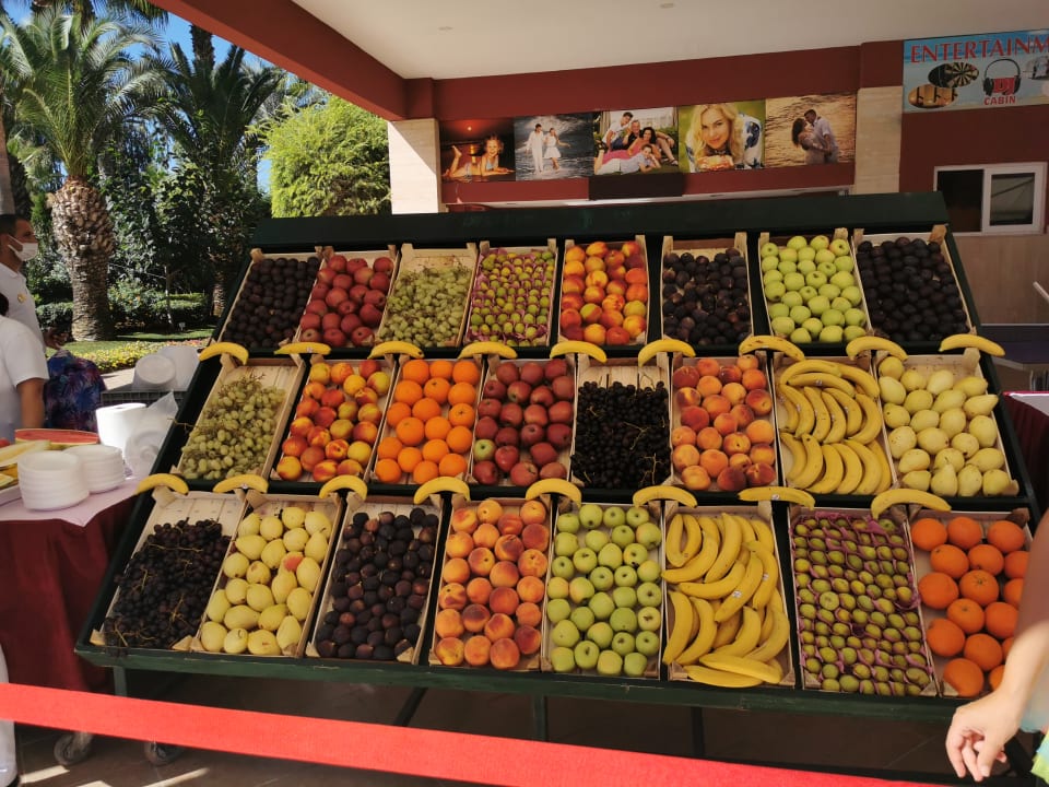 Gastro Delphin Deluxe Resort