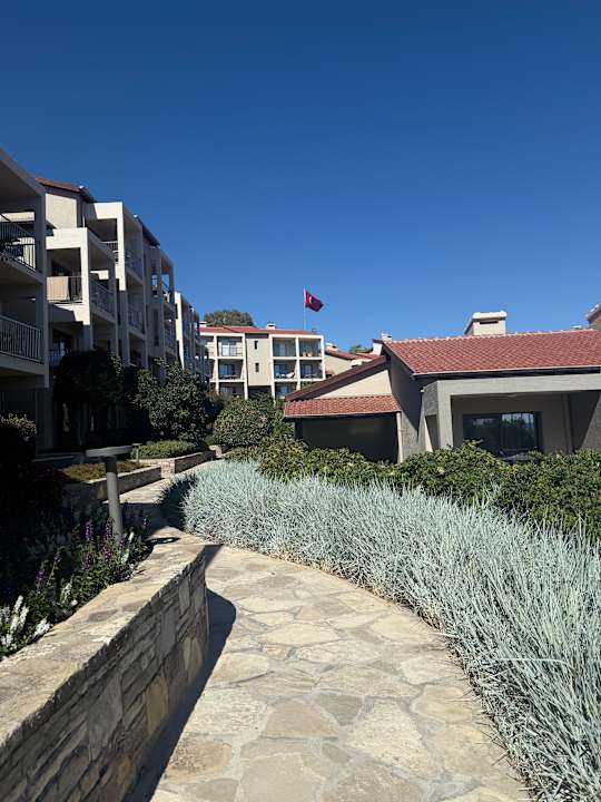 Gartenanlage Arum Barut Collection