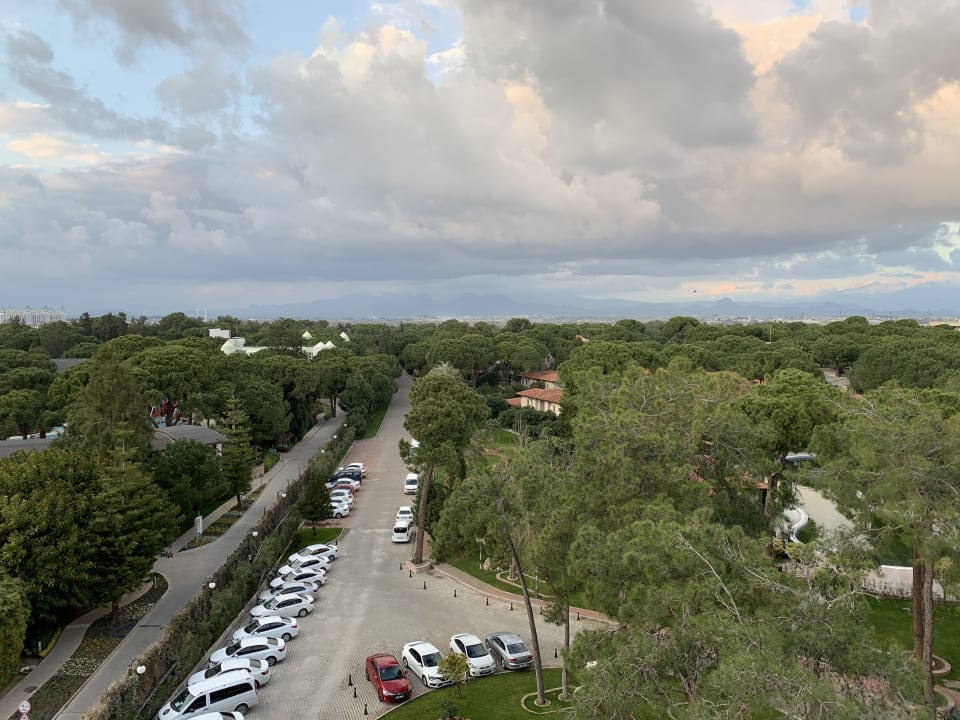 Ausblick Papillon Ayscha