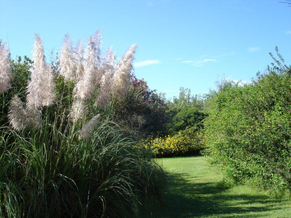 Sehr viel Grün Caravia Beach Hotel
