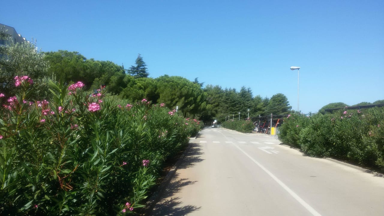 Einfahrt Hotel Hotel Materada Plava Laguna