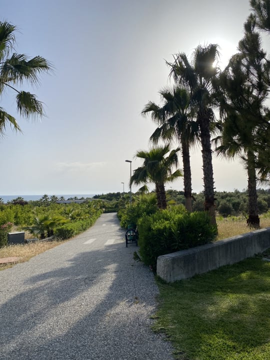 Ausblick Alba Resort Hotel