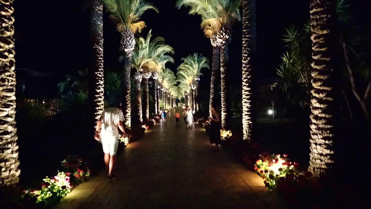 Außenansicht TUI BLUE Palm Garden