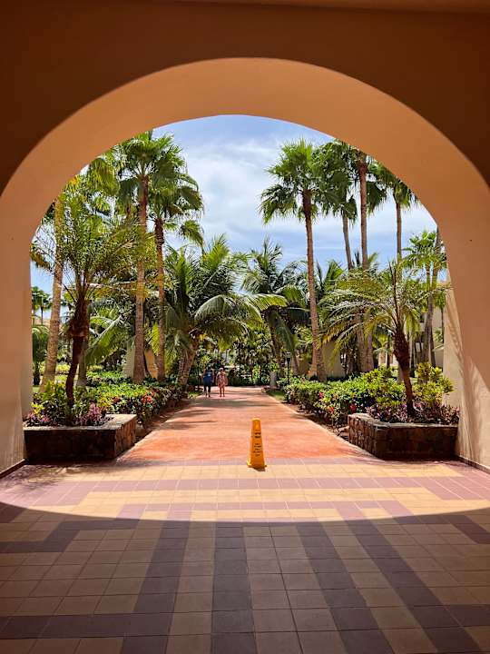 Gartenanlage Hotel Riu Touareg