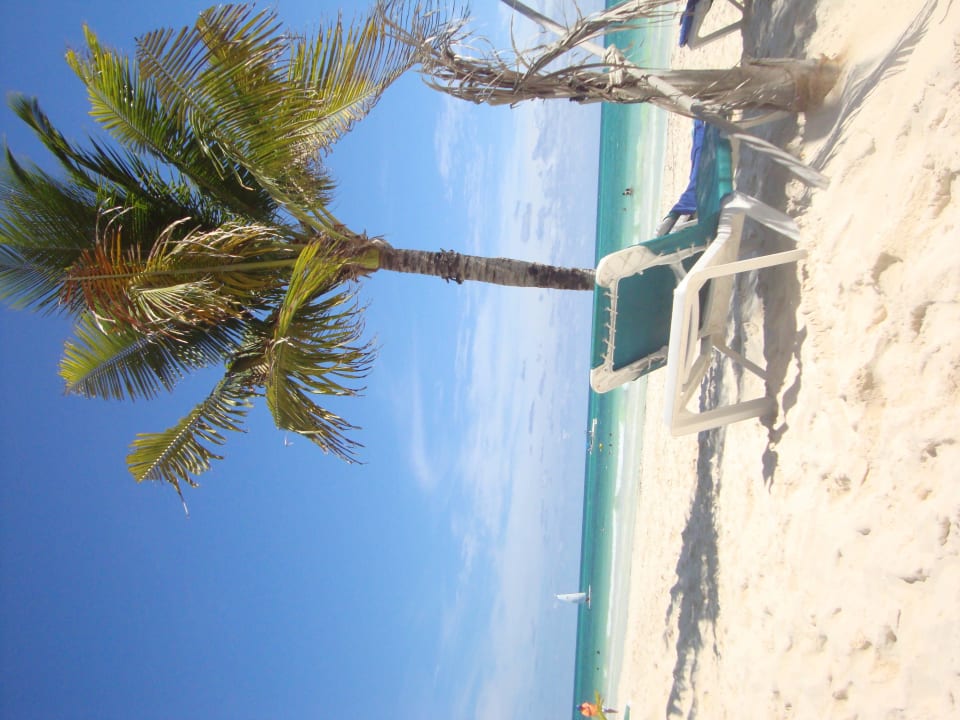 Hotel Catalonia Playa Maroma Catalonia Playa Maroma