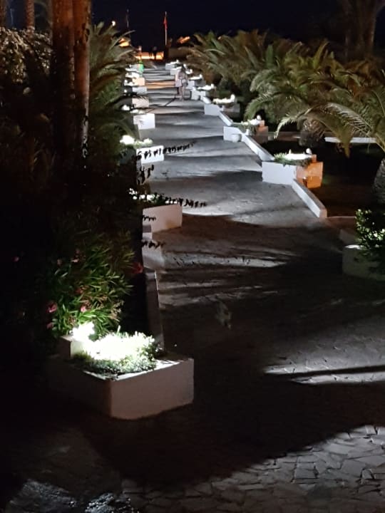 Gartenanlage Hotel Club Tropicana & Spa