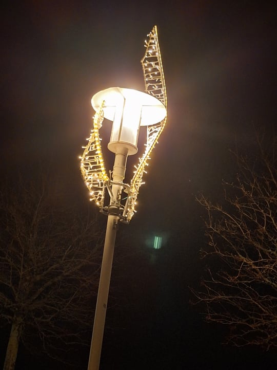 Sonstiges Morada Resort Kühlungsborn