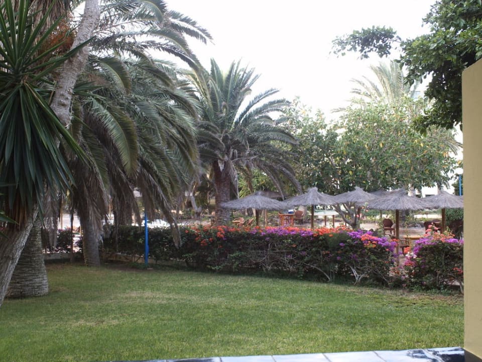 Teil der Garten-Pool-Anlage SBH Fuerteventura Playa