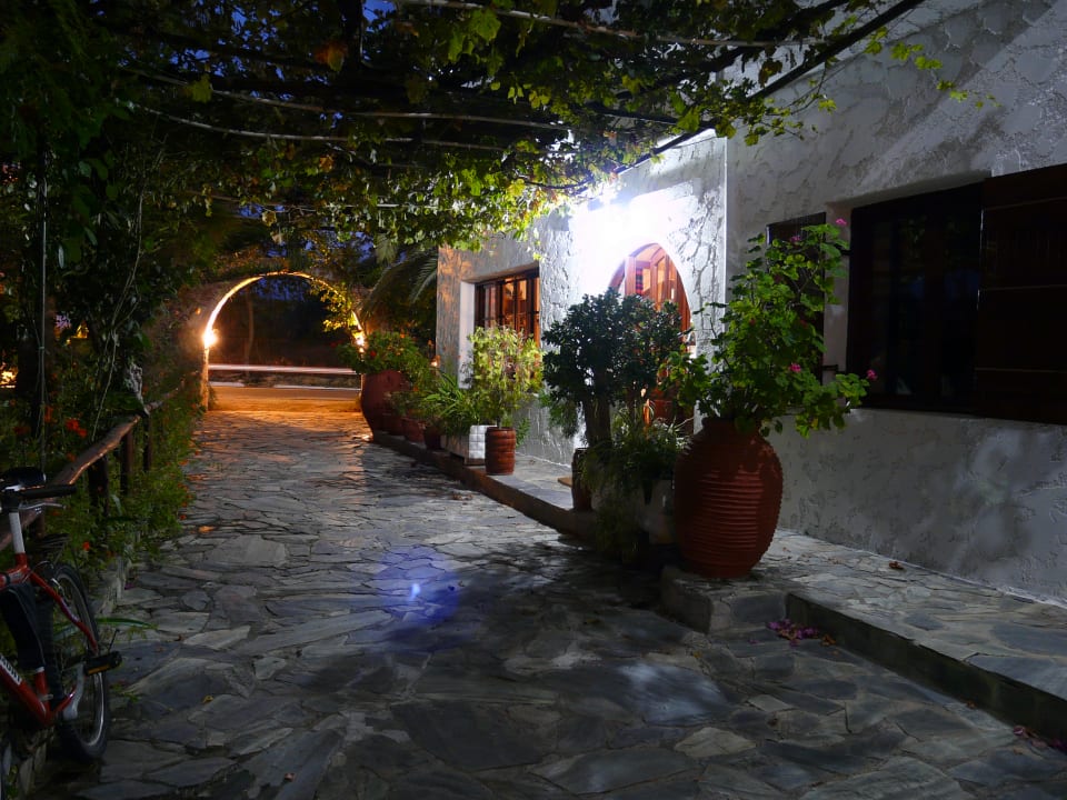 Außenansicht Hotel Summer Lodge