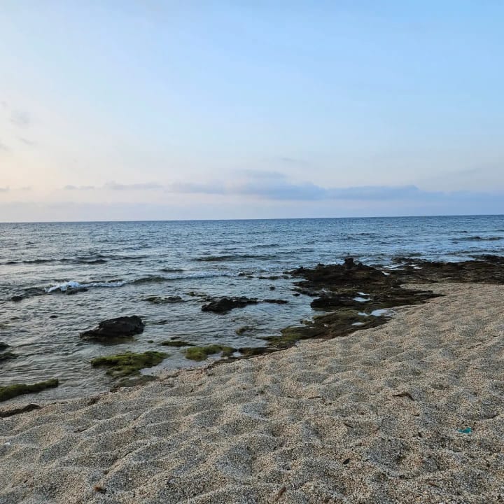 Strand TUI SUNEO Chrissi Amoudia