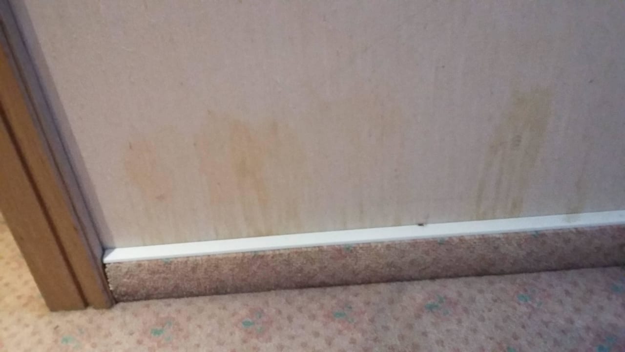 Hundeurin Berghotel Hoher Knochen