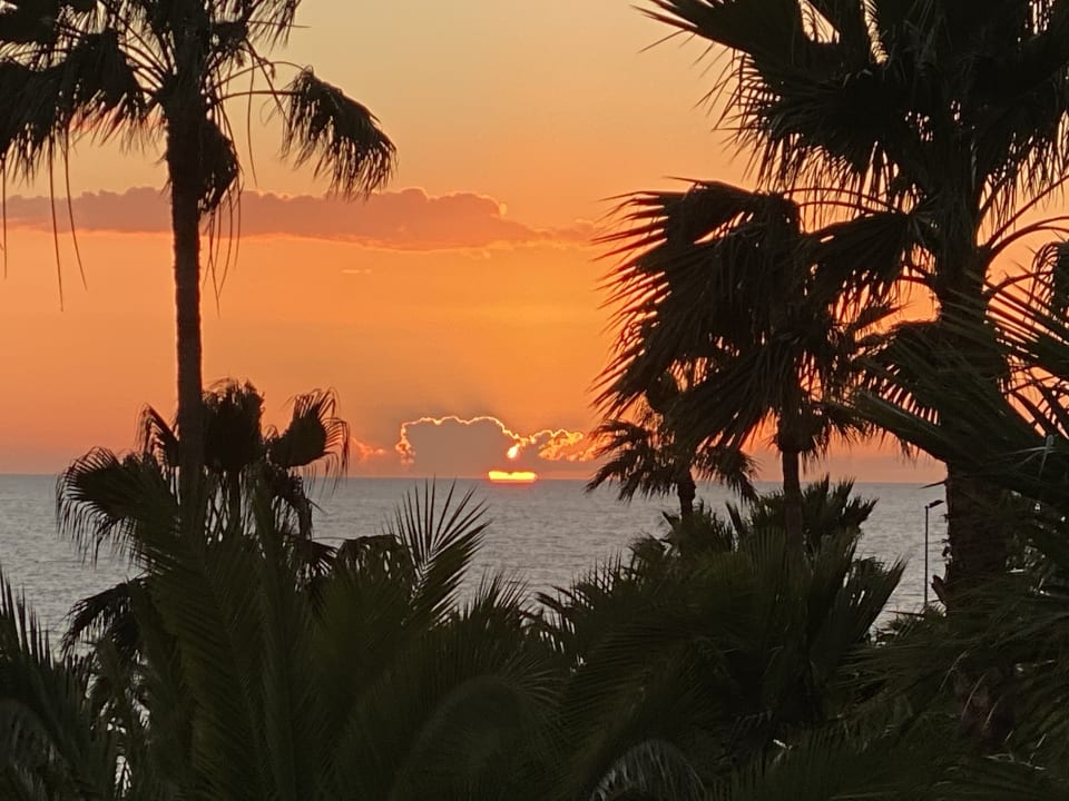 Außenansicht Hotel Riu Palace Tenerife
