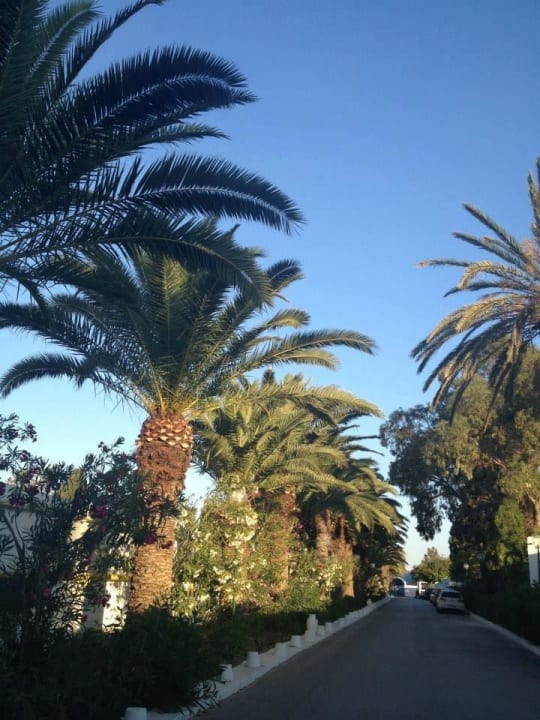 Der Weg in dem Samira Samira Club