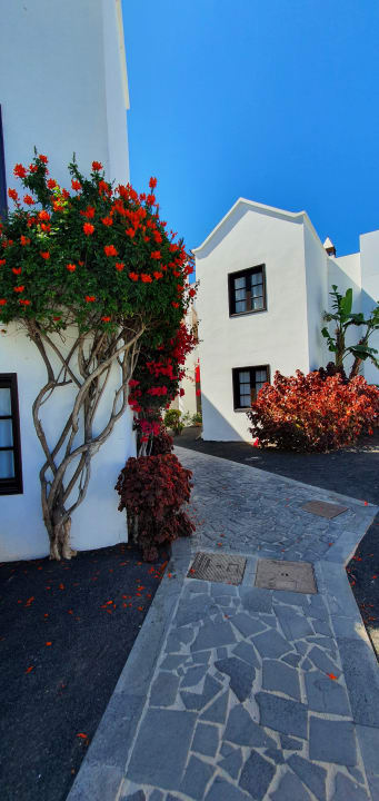 Gartenanlage allsun App.-Hotel Albatros