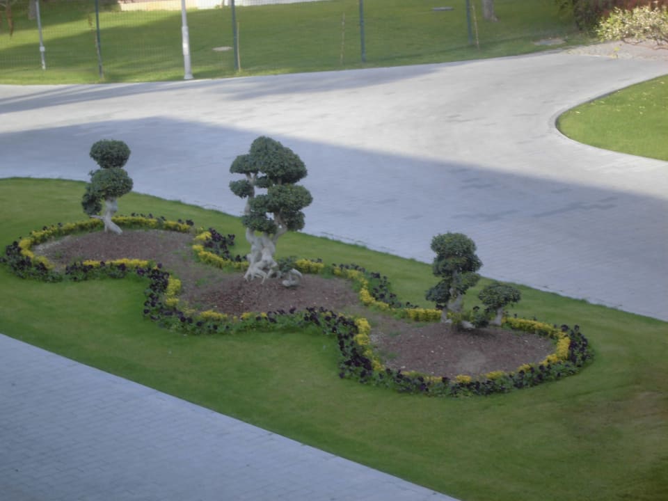 Blick vom Balkon Pine Beach Belek