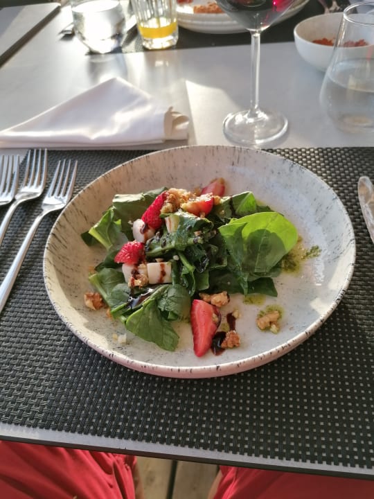 Gastro Paloma Oceana