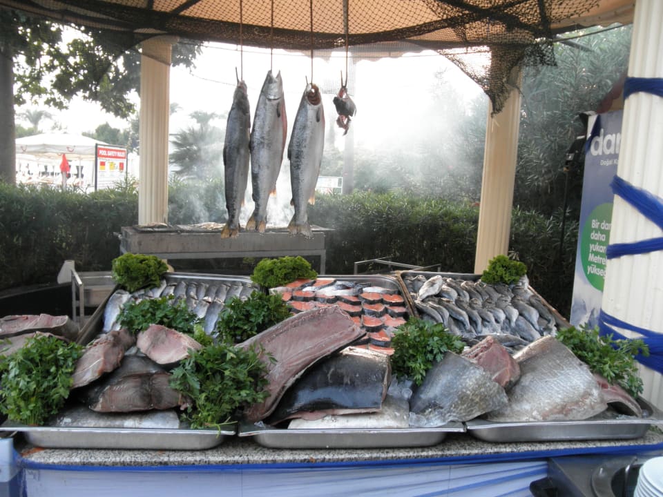 Frischer Fisch Asteria Family Belek