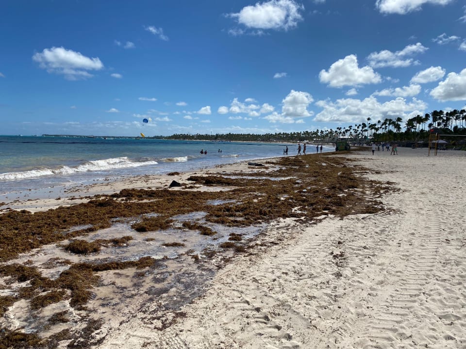 Strand Secrets Royal Beach Punta Cana - Adults only