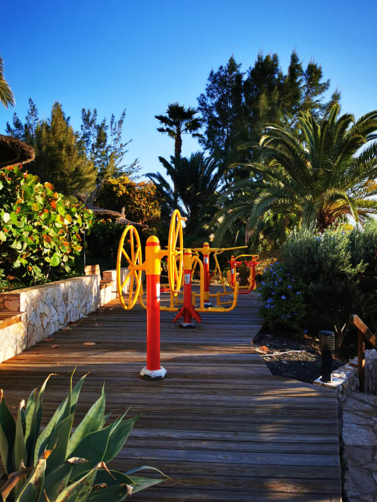 Gartenanlage Marina Playa Suite Hotel