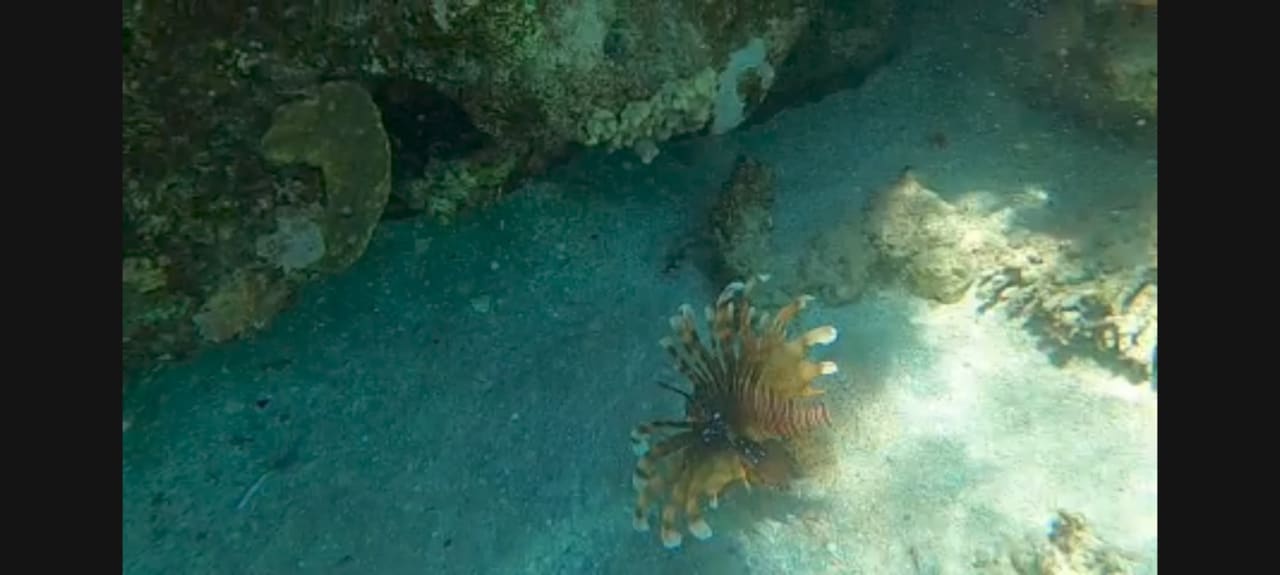 Strand Premier Le Reve Hotel & Spa