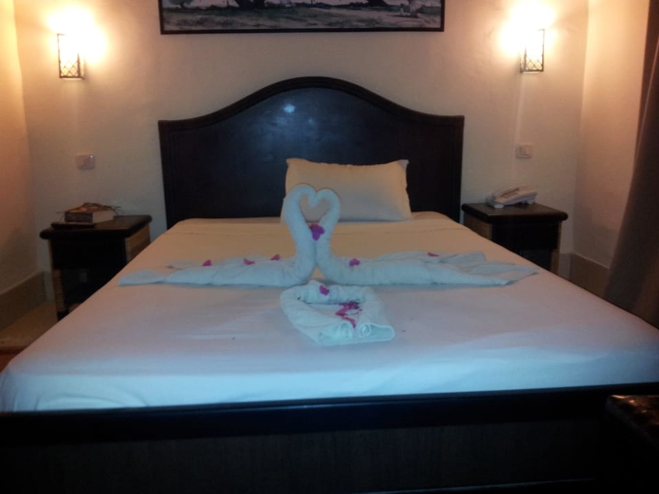 Endlich Schwäne Hotel Green Palm