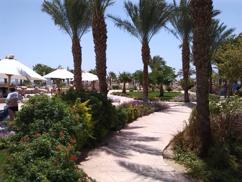 Einer der Wege zum Strand Amwaj Beach Club Abu Soma Resort