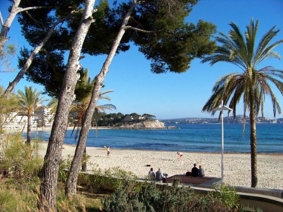 Hotel Palmira Beach allsun Hotel Bella Paguera