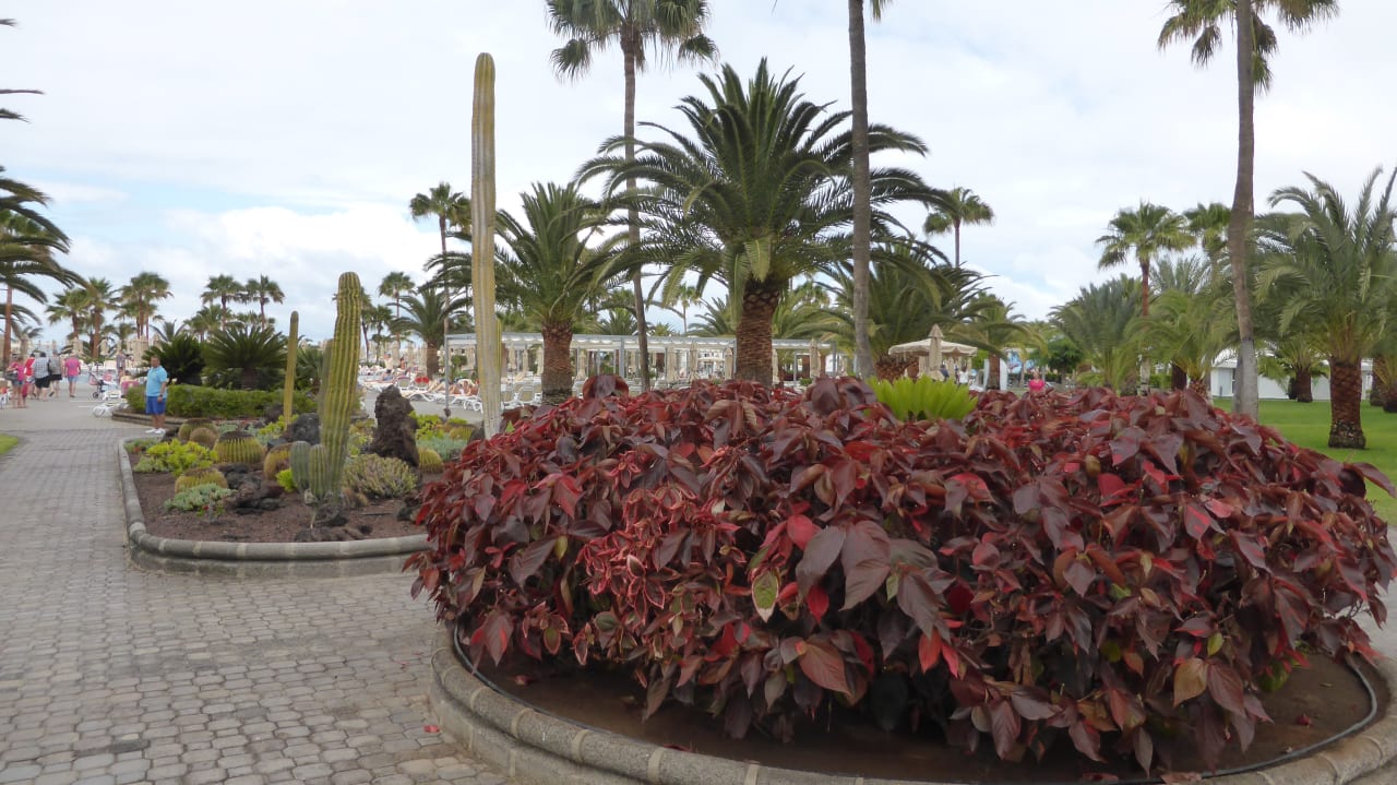 Gartenanlage Hotel Riu Gran Canaria
