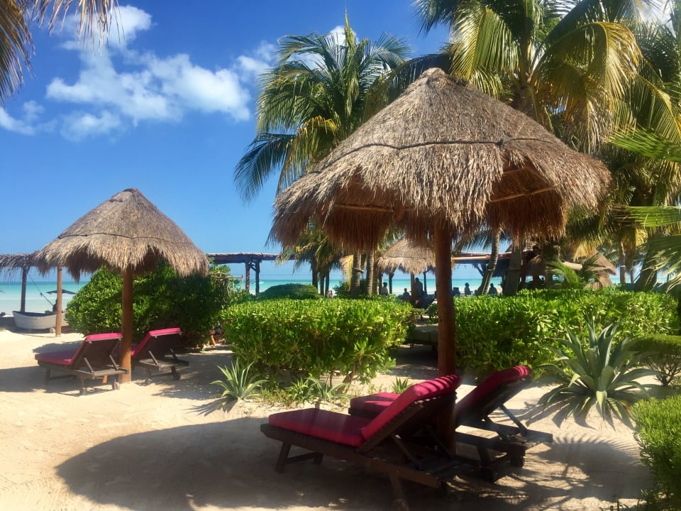 Gartenanlage Hotel Villas Flamingos