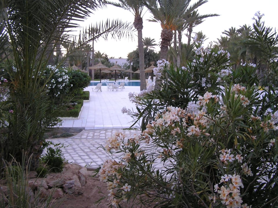 Ausblick von der Zimmerterrasse Zita Beach Resort
