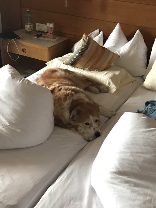 Sonstiges Hotel Inntaler Hof