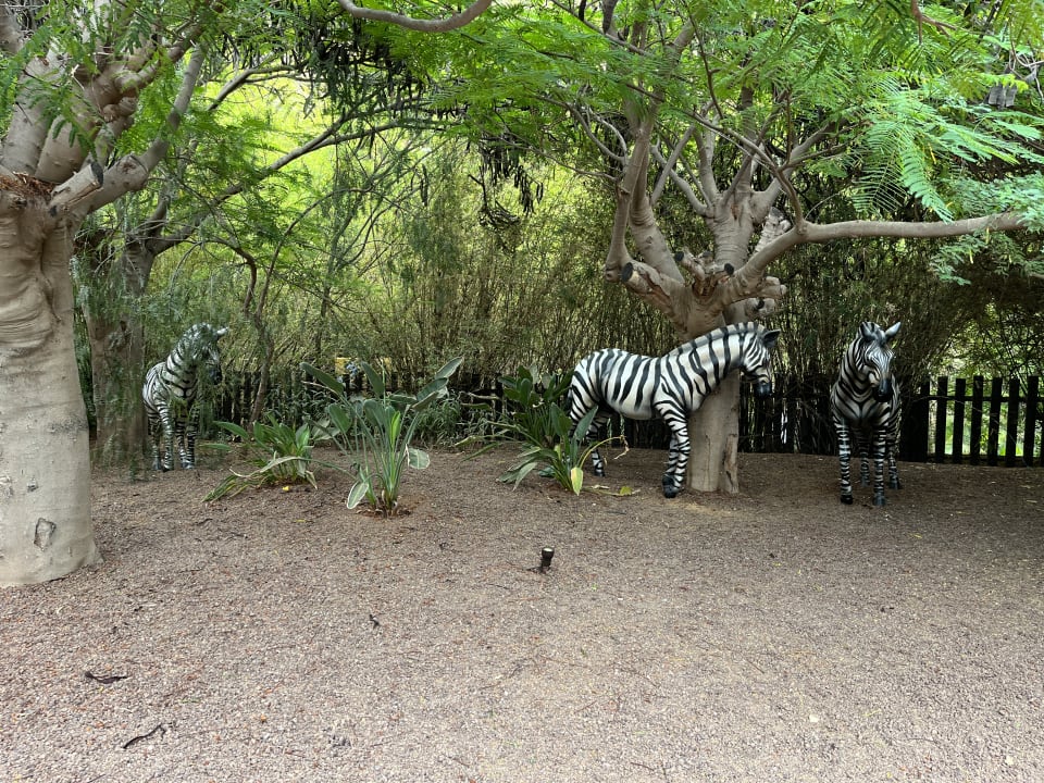 Gartenanlage Lopesan Baobab Resort