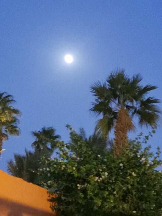 Ausblick Giftun Azur Resort