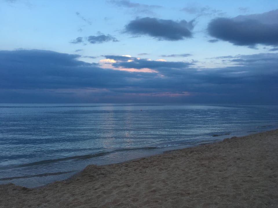 Strand Sentido Marea