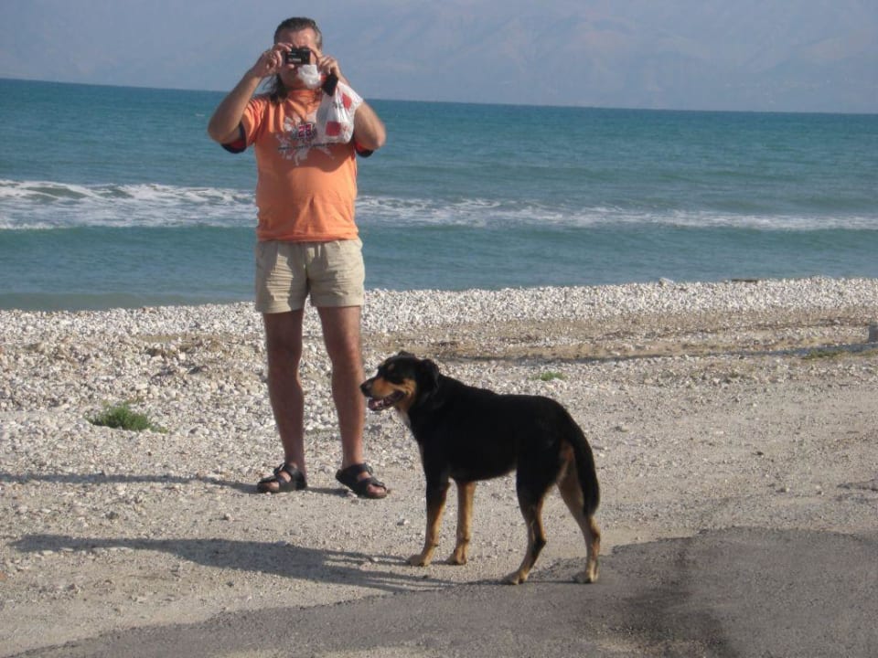Strand vor dem Hotel Hotel Kormoranos Beach