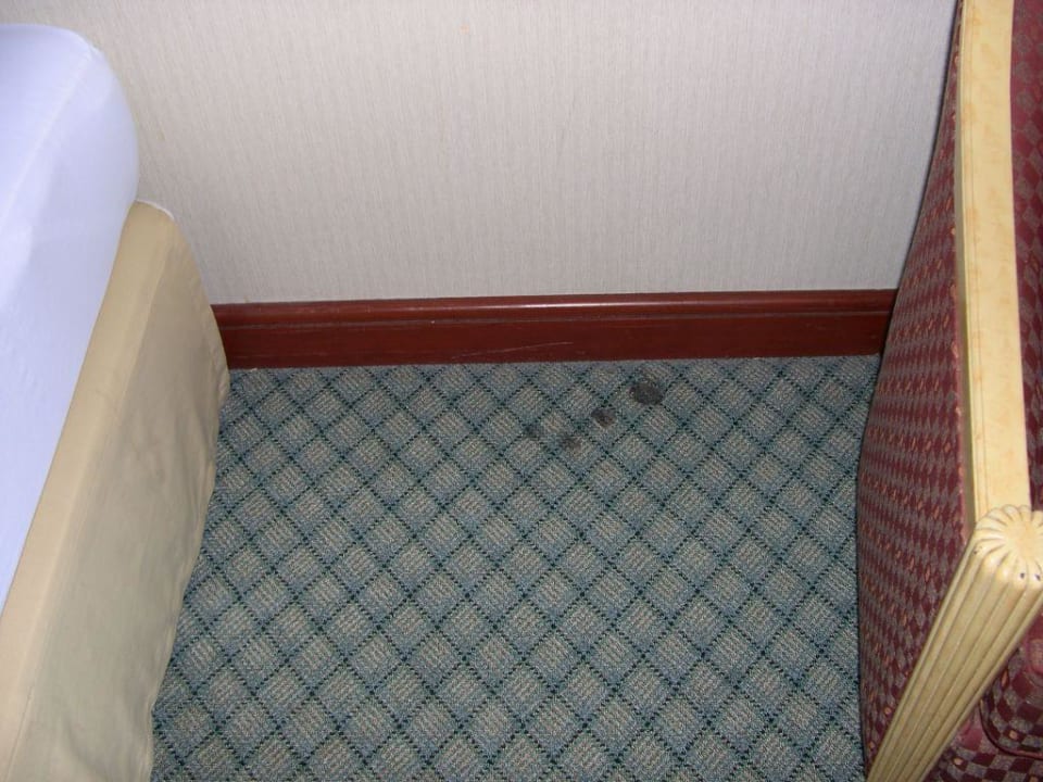 Abscheulicher Teppichboden Royal Benja Hotel