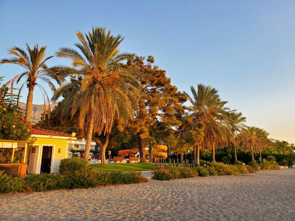 Strand Club Boran Mare Beach