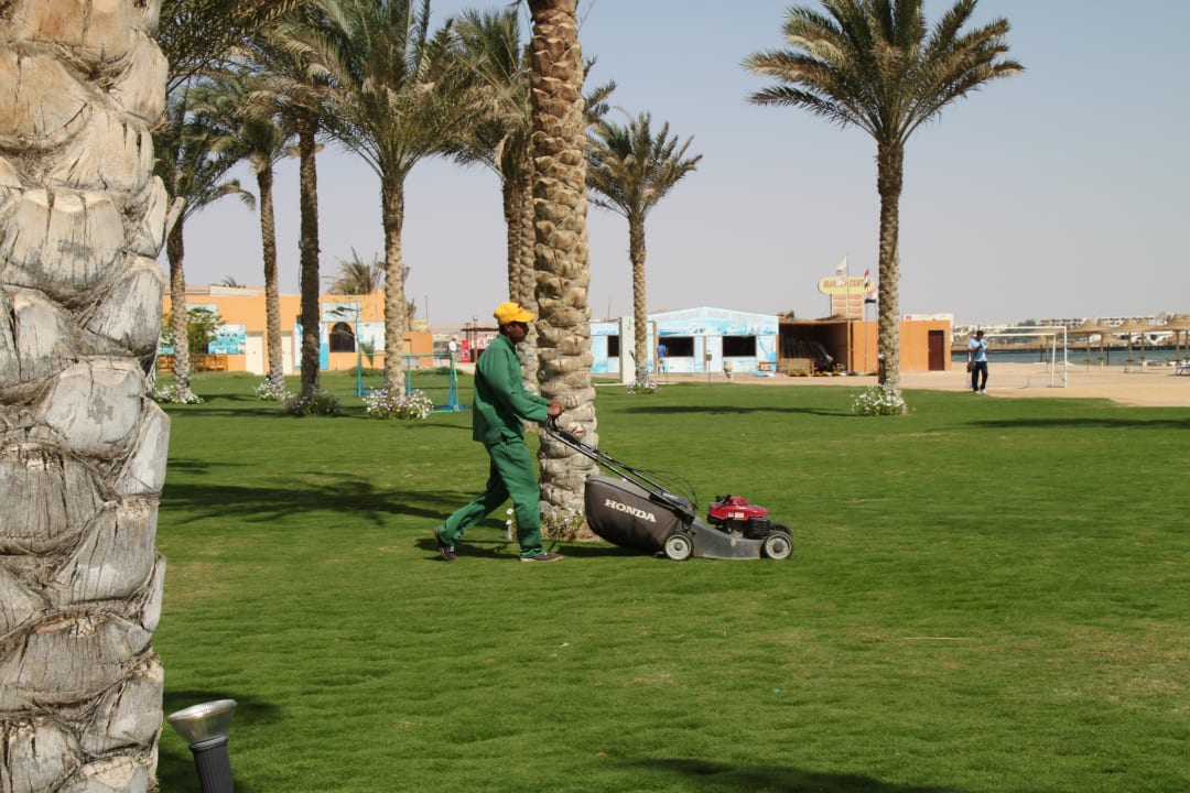 Der fleissige Gärtner Stella Garden Resort & Spa, Makadi Bay