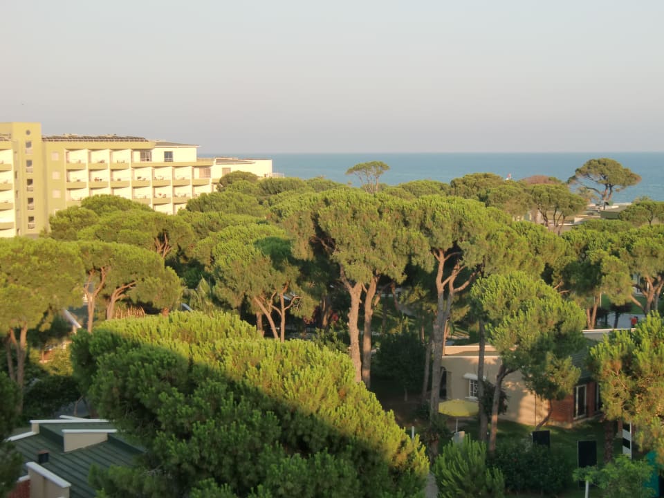 Blick aus dem Zimmer Papillon Ayscha