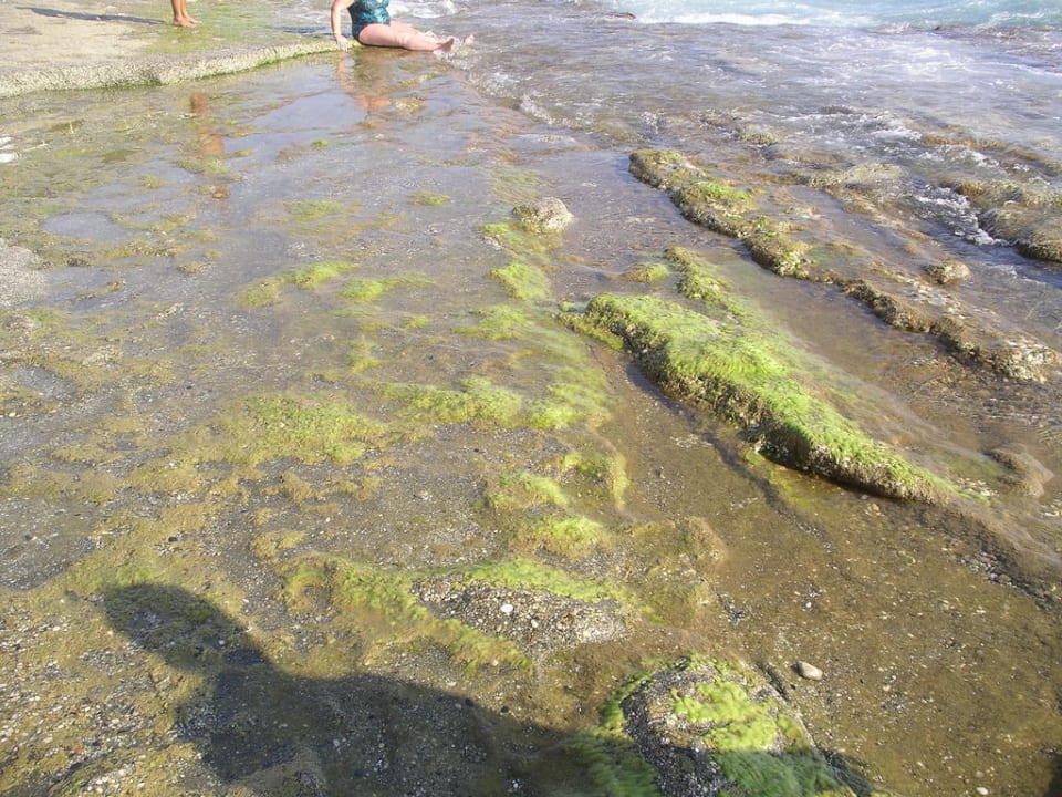 Der Weg ins Wasser Club Hotel Mirabell