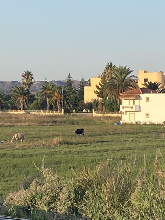 Ausblick Summer Village of Hippokrates - Adults only