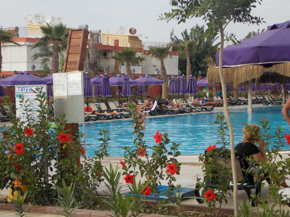 Цветочки Siam Elegance Hotels & Spa