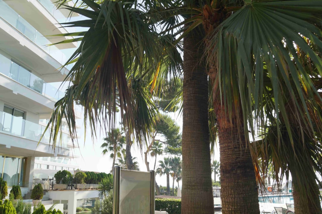 Außenansicht Playa Esperanza Resort