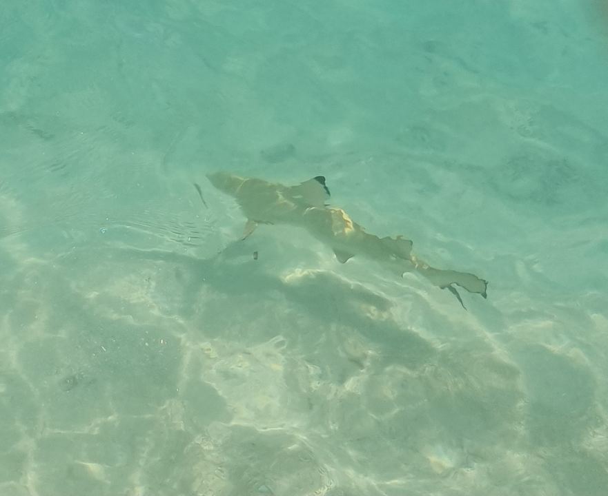 Strand Meeru Maldives Resort Island