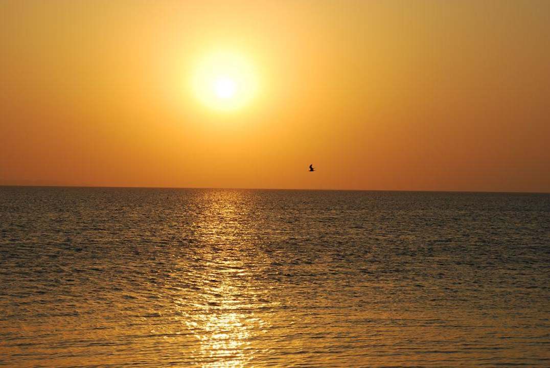 Sonnenaufgang Beach Albatros Resort