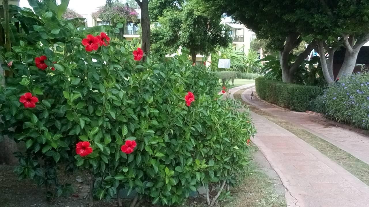 Дорога к рыбному ресторану Limak Limra Hotel & Resort