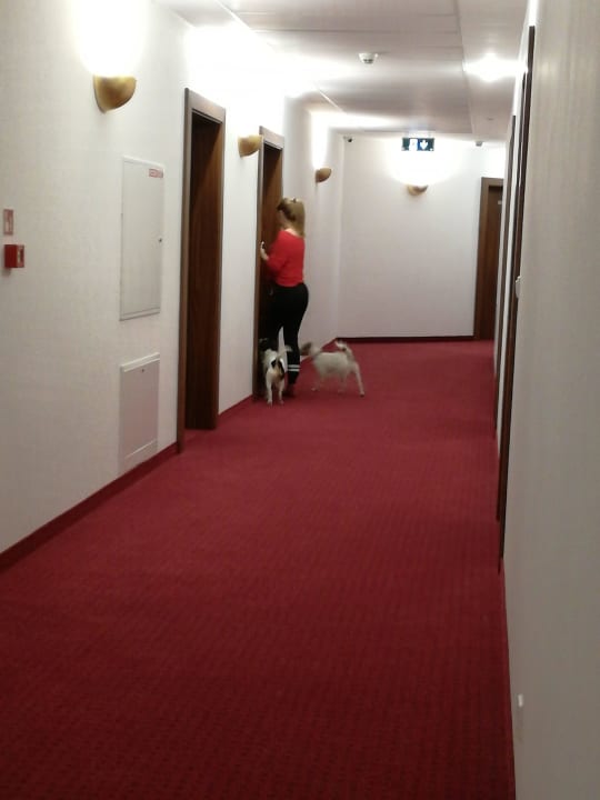 334 Hotel Buczyński Medical & Spa