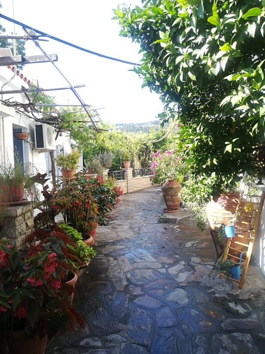 Außenansicht Hotel Golden Sun