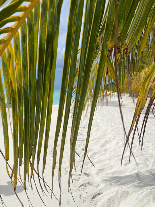 Außenansicht Meeru Maldives Resort Island